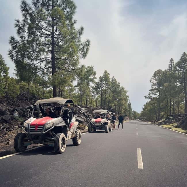 Tenerife: Teide National Park and Volcano Buggy Tour - The Route Feel: Viewpoints, Stops, and Why the Guide Matters