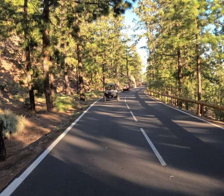 Tenerife: Teide National Park and Volcano Buggy Tour - Pickup, Starting Point, and What to Bring