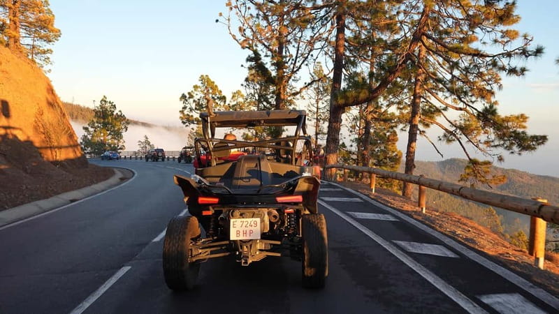 Tenerife: Teide National Park Guided Buggy Tour - Price and Value: Is $221 Worth It?