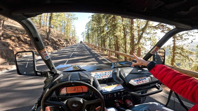 Tenerife: Teide National Park Guided Buggy Tour - The Buggies: Automatic, Sporty, and Built for Real Driving