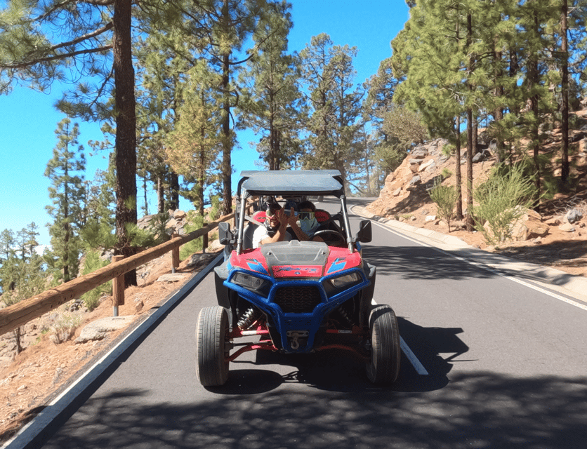 Tenerife: Volcano Teide Buggy Tour with Wine Tasting & Tapas - Small group energy: what it means in a real-world tour