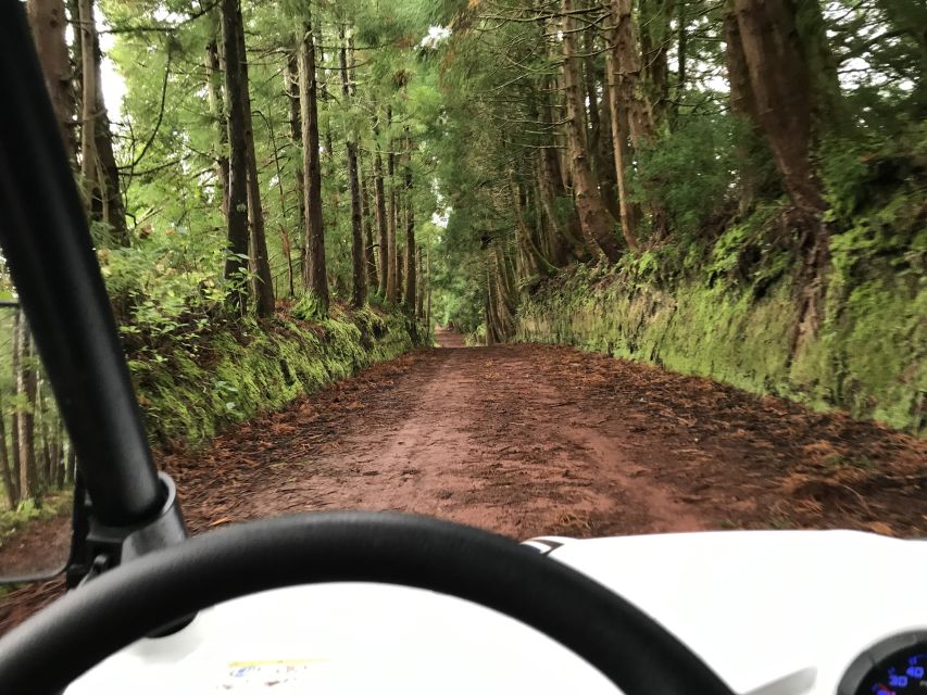 Terceira: Buggy Tour 4x4 West Side Azores Retreat - Weather and comfort: how to avoid a miserable ride