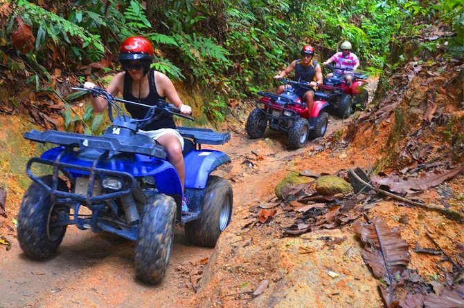 Thrilling ATV Rainforest Off-Road Experience Through Jungle Trail - The guide experience: small group attention makes a difference