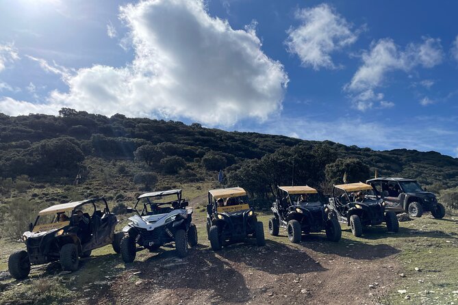 TopBuggy Buggy Safari Ronda Gorge Trip - Vineyard roads: Descalzos Viejos and Garcia Hidalgo views from below