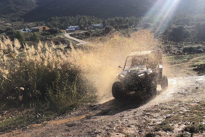 TopBuggy Buggy Safari Ronda Gorge Trip - El Tajo de Ronda: the coffee stop with serious cliff energy