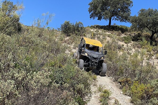 TopBuggy "Surrounding Ronda" Buggy Safari - El Tajo de Ronda: circling the gorge for dramatic viewpoints