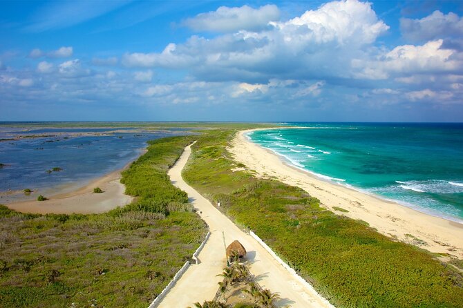 Tours along the beaches of Cozumel Mexico by buggy all inclusive - Key highlights at a glance