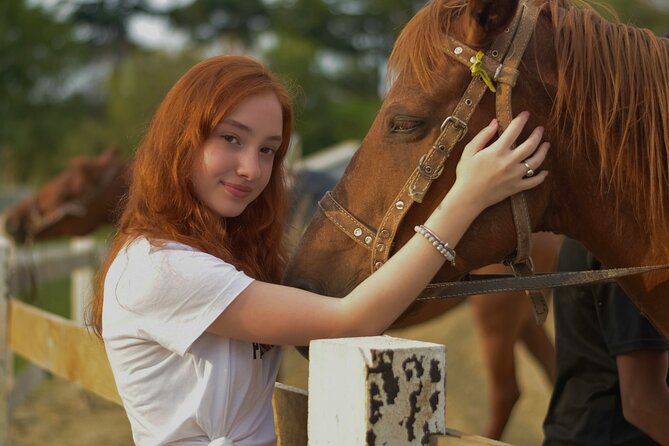 Tulum Jungle Horseback Ride + ATV + Ziplines + Cenote Combo Tour - Key things to know before you go
