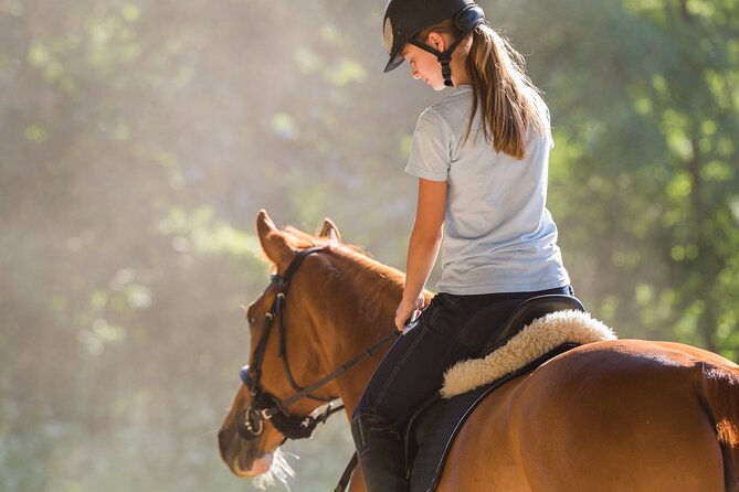 Tulum Jungle Horseback Ride + ATV + Ziplines + Cenote Combo Tour - Price and value: what $125 really covers