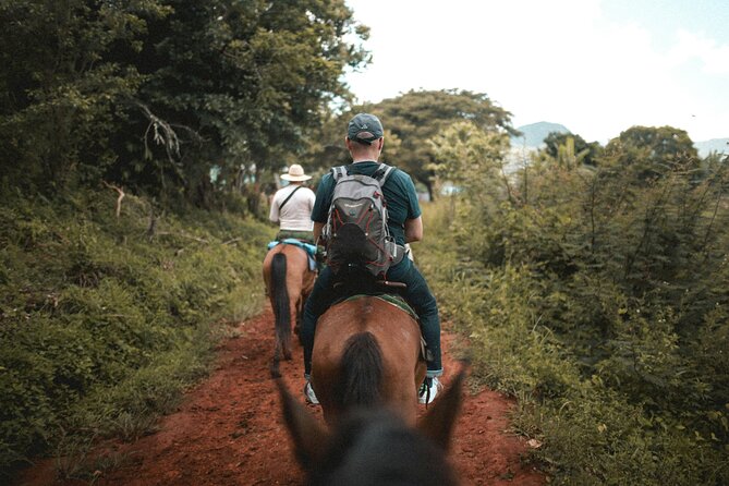 Tulum Jungle Horseback Ride + ATV + Ziplines + Cenote Combo Tour - Zip lines and a wall rappel: where limits matter