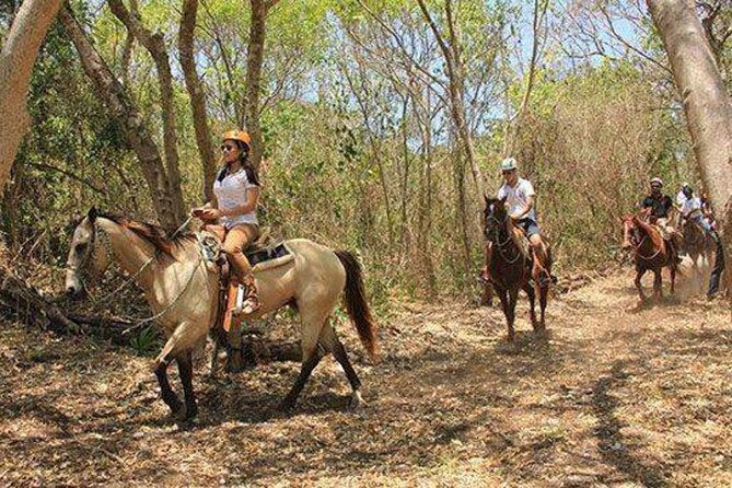 Tulum Jungle Horseback Ride + ATV + Ziplines + Cenote Combo Tour - Cenote swimming through an underground river: the highlight for most people