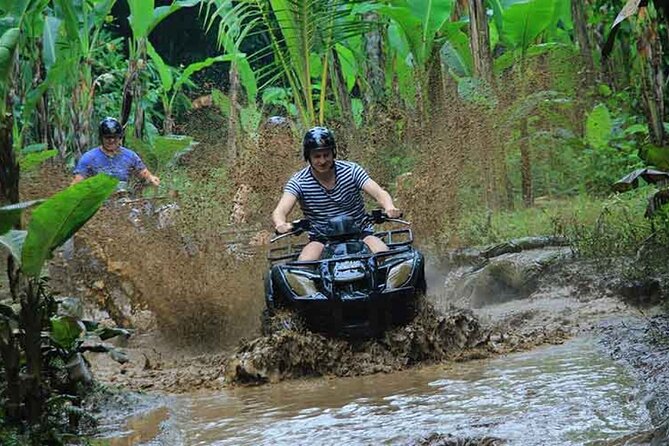 Ubud ATV Quad Bike and Snorkeling at Blue Lagoon Beach - ATV Time in Ubud: Jungle Trails, Rice Fields, and the Stuff Photos Miss