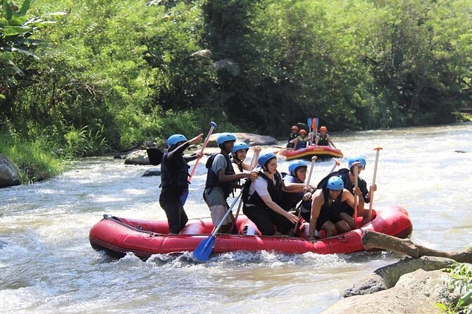 Ubud ATV Quad Bike with Ayung River Rafting Experience - Lunch and downtime: the buffet moment that keeps the energy up