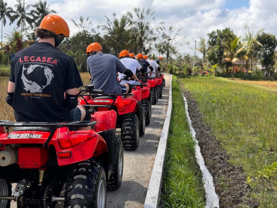 Ubud: ATV Quad Bike & Zip-Line Adventure with Meal - Should you book the Ubud ATV quad bike and zip-line meal?