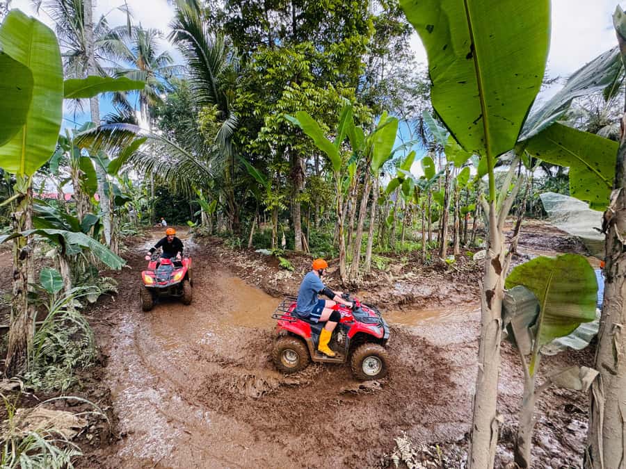 Ubud: ATV Quad Biking, Temple & Tibumana Waterfall Tour - The ATV Track: Mud, Rice Fields, Gorilla Cave Tunnel, and Bamboo Forest