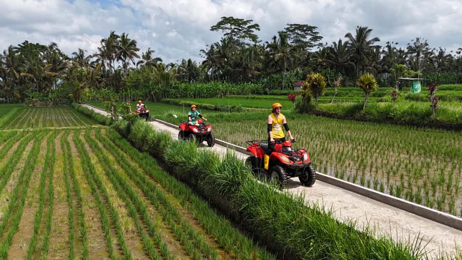 Ubud: ATV Quad Biking, Temple & Tibumana Waterfall Tour - Gear, Insurance, and Safety: What’s Included (and Why It Matters)