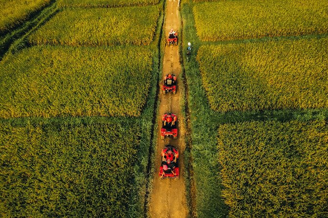 Ubud ATV Ride through River Jungle Rice Fields Puddles - The Gorilla Cave Tunnel: The Standout Moment
