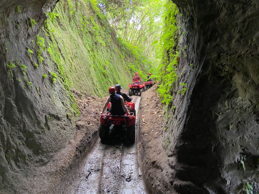 Ubud: Gorilla Face Quad Bike, Jungle Swing, Waterfall & Meal - The jungle swing at Satria Agrowisata (plus coffee and tea break)