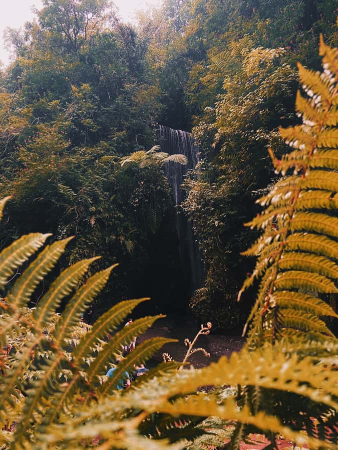 Ubud: Gorilla Face Quad Bike, Jungle Swing, Waterfall & Meal - Transfers and self-guided meeting points: choose what fits your day
