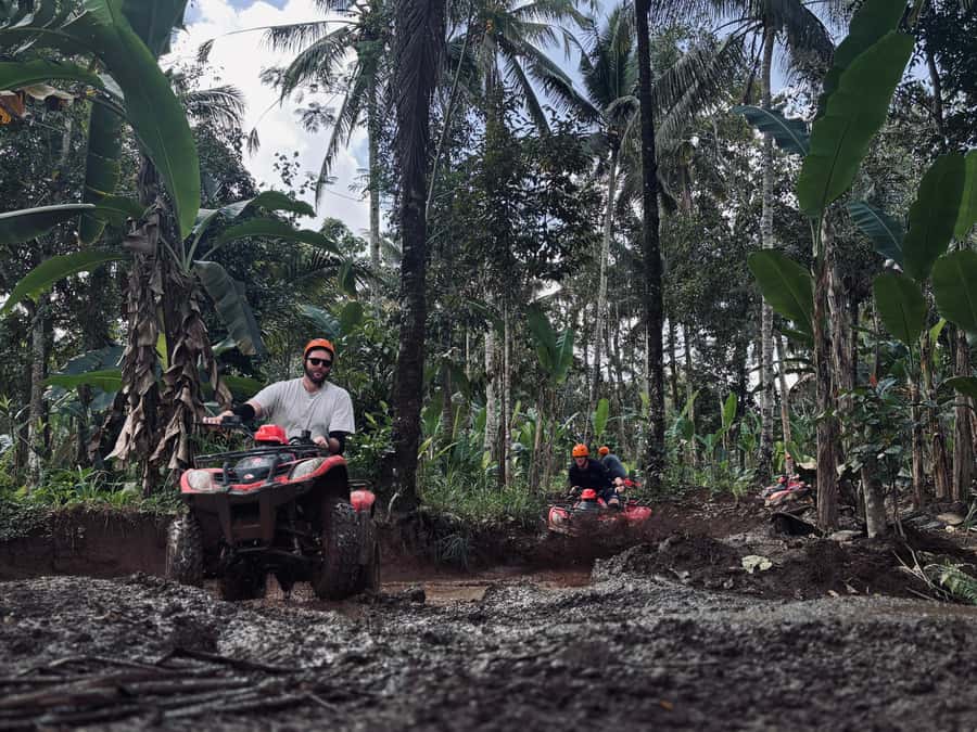 Ubud: Gorilla Face Quad Bike, Jungle Swing, Waterfall & Meal - Safety and comfort: what’s included and who should skip it