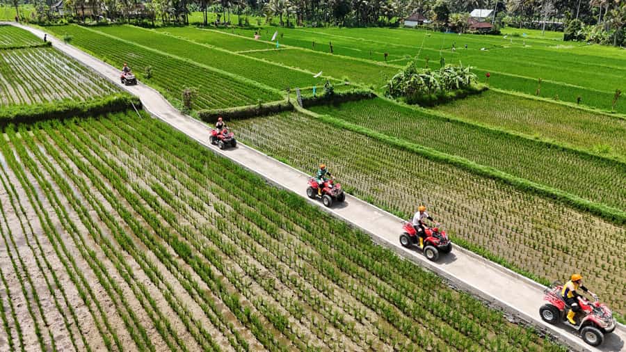 Ubud: Guided ATV Quad Bike Jungle Adventure with Lunch - Price and what you actually get for $22