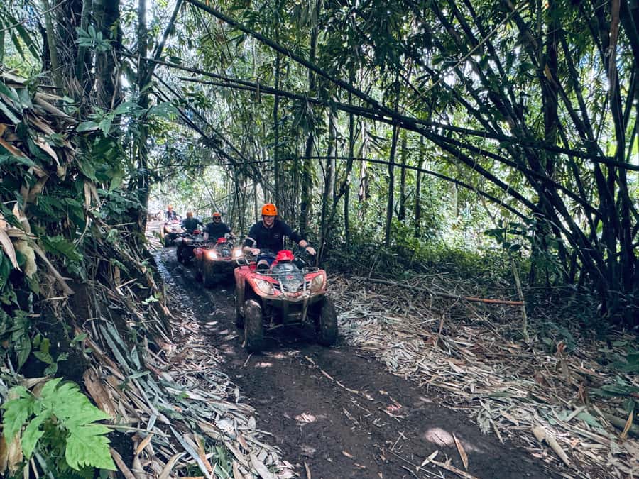 Ubud: River Cave Tubing Adventure & Gorilla ATV Quad Bike - Transfers and Transport: What to Expect With Pickup Areas
