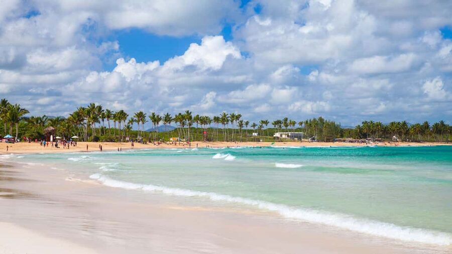 Ultimate Buggy Expedition from Punta Cana with blue cenote - Off-road farmland: palms, tobacco fields, and mud you can’t predict