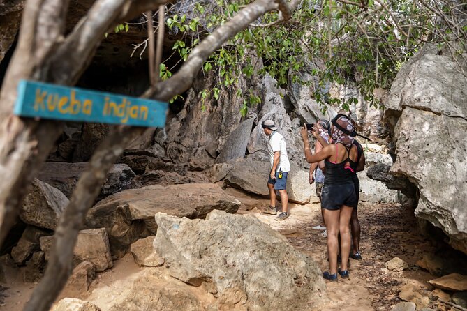UTV Buggy and Snorkeling Tour in Willemstad Curacao - Flamingos and the fun of an in-between stop