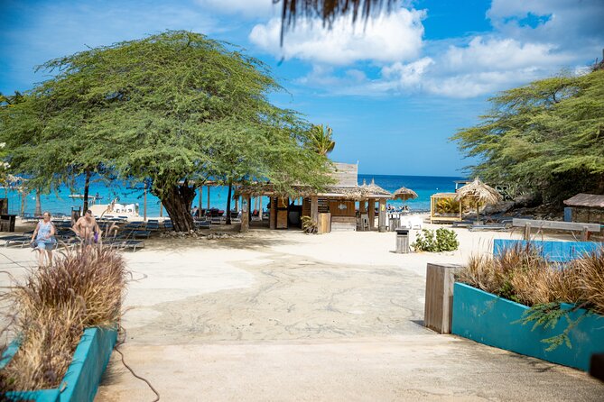 UTV Buggy and Snorkeling Tour in Willemstad Curacao - Curacao Splash lookout: when wind turns it into a natural show