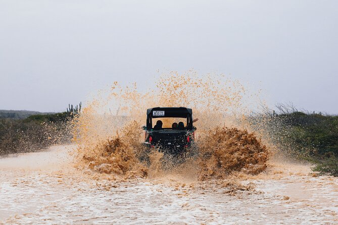 UTV Buggy Expedition in West Coast - Stop 3: Daaibooi Beach—Swim Time After the Mud