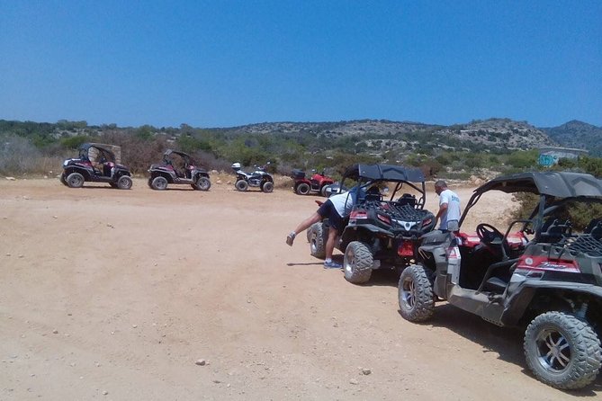 Value for money Quad & Buggy Tour to Lara Bay and Adonis Falls - Price and value: why $72.56 can work