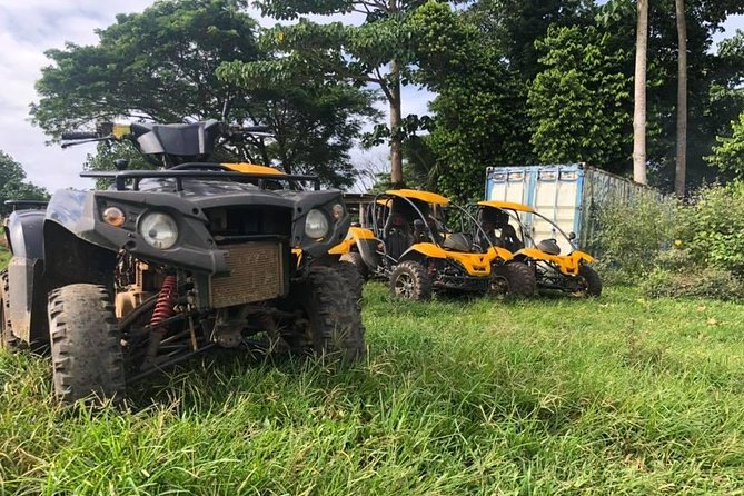 Vanuatu Buggy Adventure with Yumi Tours - Key things that make this buggy day work