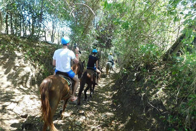 VIP DayPass: ATV, ZipLine, Horse Riding / Shore Excursion & Hotel - Tropical gardens and rescued animals after the adrenaline