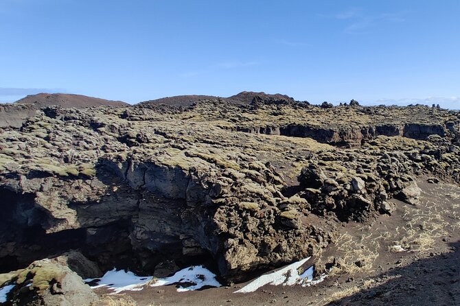 Volcanic Vistas & Puffin Paradise ATV Tour - Wildlife Bonus Moments: Orcas and That Extra Wow Factor
