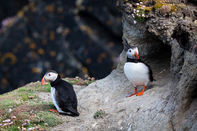 Volcanic Vistas & Puffin Paradise ATV Tour - Where You Start: Strandvegur Meeting Point and How the Day Flows