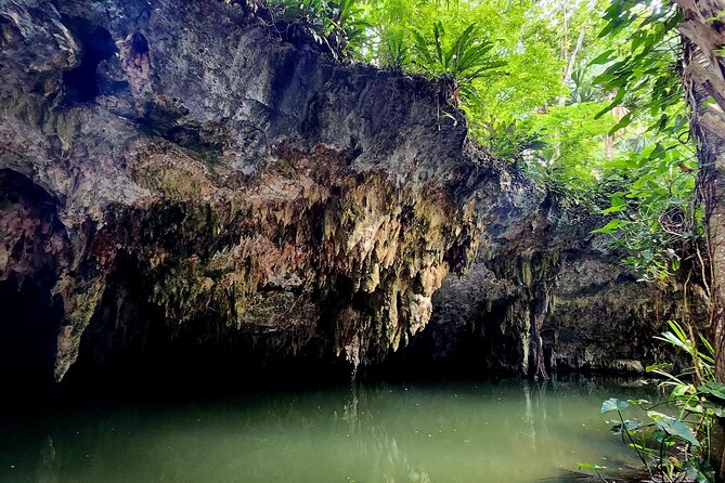Wild Jade Cavern ATV Tour With Transfer - Mi Mexico Lindo Tequila Tour: Seminar, Tasting, and the Sales Factor