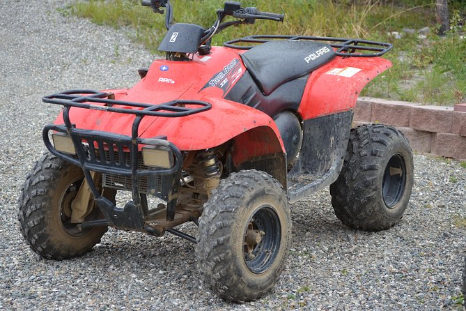 Wilds of Alaska Classic ATV Adventure - Wildlife Watching and Photo Stops: Realistic Expectations