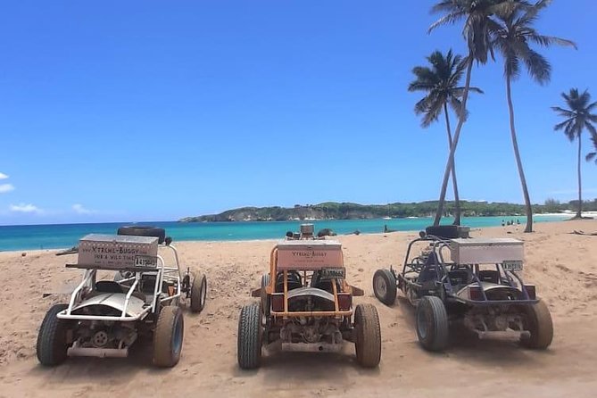 Xtreme Buggy 4 hours Dune Buggy & Country side experience - Key points that matter most
