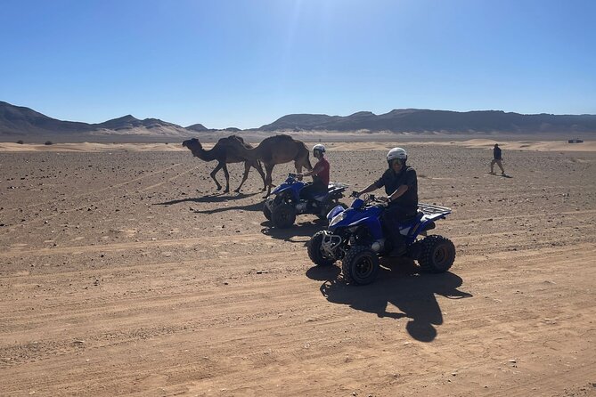 Zagora Quad - Quad Excursions - Key highlights before you go
