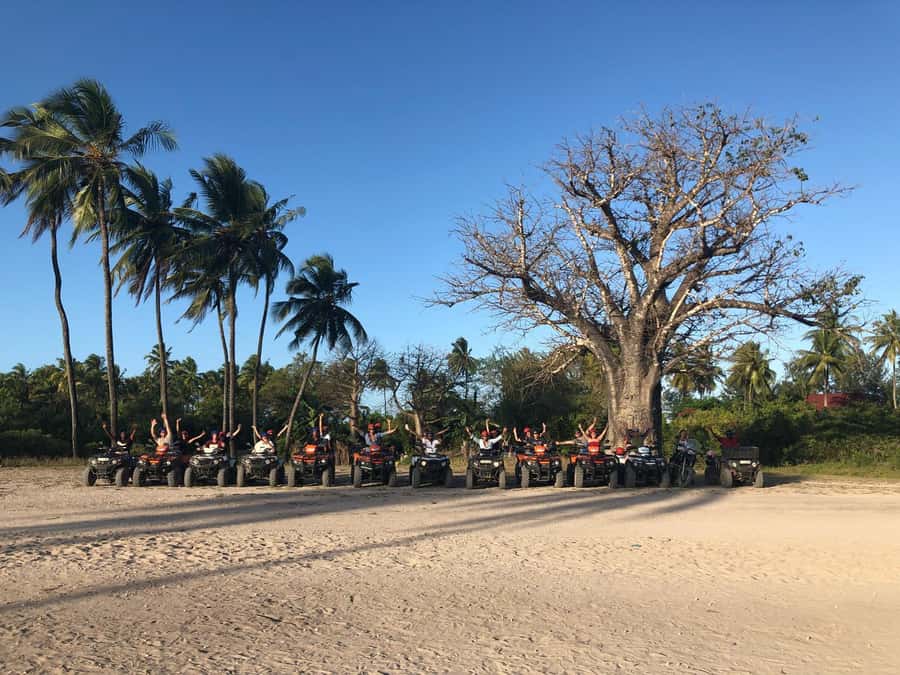 Zanzibar: Quad Bike Adventure Tour to a Local Village - Leaving the tarmac: rice fields, village context, and a “why this matters” lesson